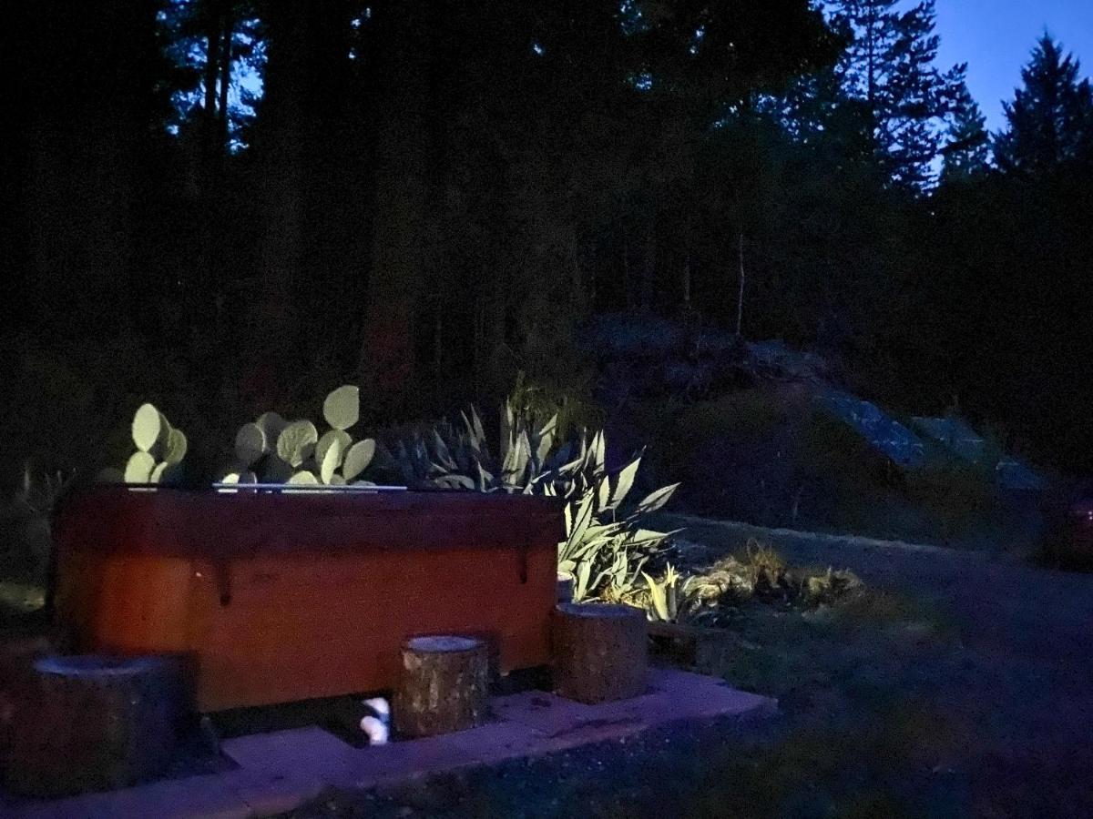 Glamping In The Redwoods With A Hot Tub! Otel Garberville Dış mekan fotoğraf