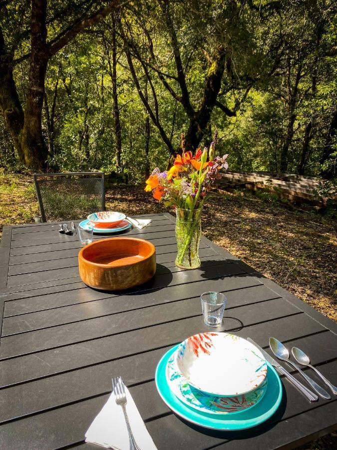 Glamping In The Redwoods With A Hot Tub! Otel Garberville Dış mekan fotoğraf